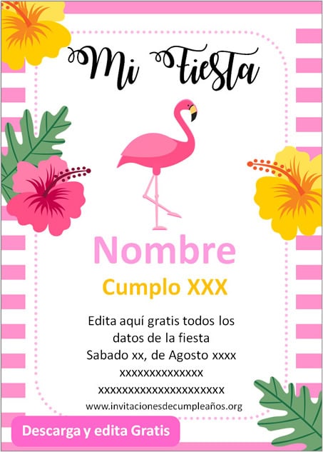 Invitación fiesta de Flamingo